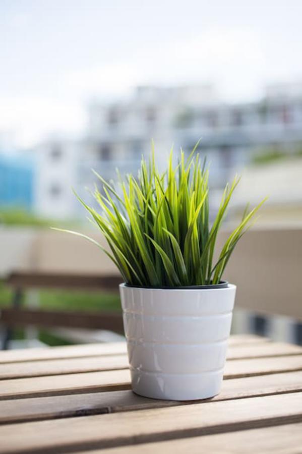 Bright Flat Near The Acropolis By Upstreet Apartment Athens Exterior photo